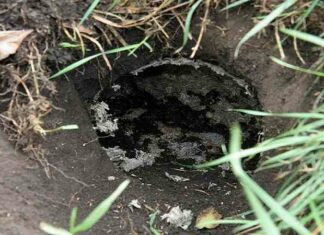 Виділення часток дітям