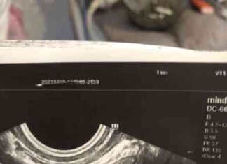 14 приголомшливих дитячих фільмів-казок для зимового настрою