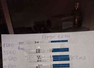 Зблідли тести.