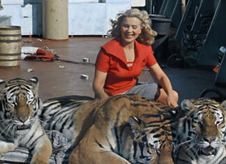 Погубила робота: історія безстрашної “королеви тигрів” маргарити назарової