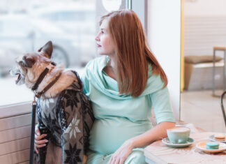 Як дізнатися, чи вагітна собака: перші ознаки