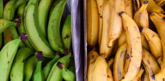 Neočekávaná zelenina: Jak snadno zvýšit příjem