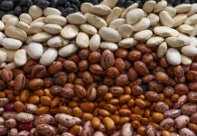 Наука про те, що квасоля не виділяє газів: дослідження, проведене за підтримки Гарварду