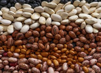 Наука про те, що квасоля не виділяє газів: дослідження, проведене за підтримки Гарварду