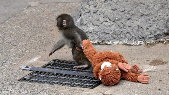 26968d30-d41f-4910-a6ed-663237f936c7