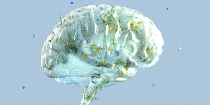 2709b857-ee49-4724-b58e-ceb3fe2a9c02