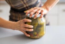 Anthropologie Розширює Асортимент Гурме Сонями: Новий Продукт для Кладовки