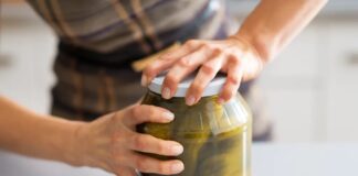 Anthropologie rozšiřuje sortiment Gourmet Pickles: Nový produkt ve spíži
