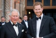 Royal Rift blijft bestaan: koning Charles slaat ontmoeting met prins Harry over tijdens Amerikaans bezoek